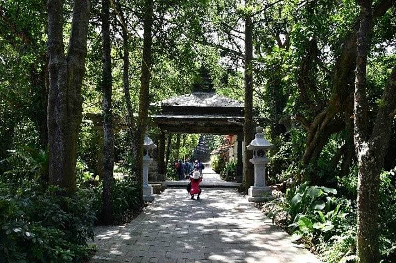 圖片
